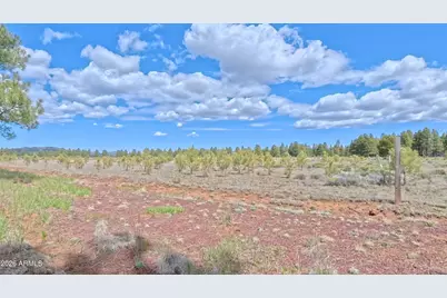 12565 Camp Kimball Road #-, Parks, AZ 86018 - Photo 7