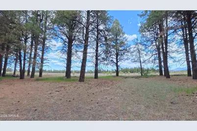12565 Camp Kimball Road #-, Parks, AZ 86018 - Photo 15