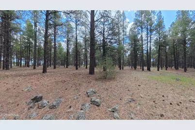 12565 Camp Kimball Road #-, Parks, AZ 86018 - Photo 33