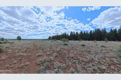 12565 Camp Kimball Road #-, Parks, AZ 86018 - Photo 25