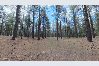 12565 Camp Kimball Road #-, Parks, AZ 86018 - Photo 31