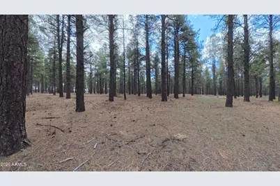 12565 Camp Kimball Road #-, Parks, AZ 86018 - Photo 29