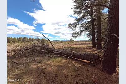 12565 Camp Kimball Road #-, Parks, AZ 86018 - Photo 27