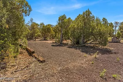 1853 Woolford Road #-, Clay Springs, AZ 85923 - Photo 13