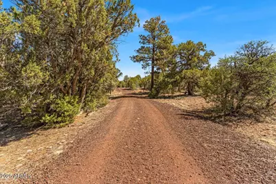 1853 Woolford Road #-, Clay Springs, AZ 85923 - Photo 11