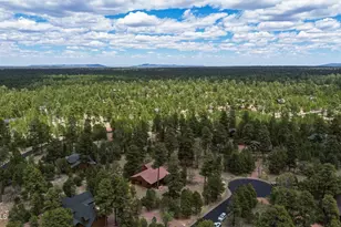 4265 Lodge Pole Pl, Happy Jack, AZ 86024 - Photo 49