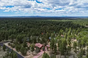 4265 Lodge Pole Pl, Happy Jack, AZ 86024 - Photo 47