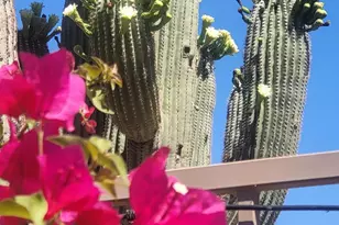 13533 N Manzanita Ln, Fountain Hills, AZ 85268 - Photo 59