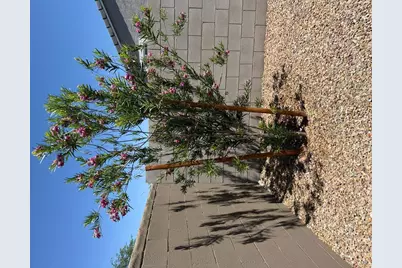 1840 W Spaulding Avenue, Apache Junction, AZ 85120 - Photo 19
