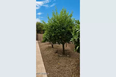 24764 N 117th Street, Scottsdale, AZ 85255 - Photo 41