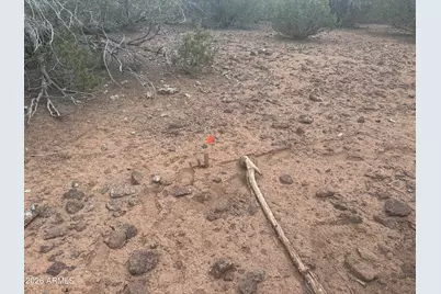 Lot 164 Mesa Redondo -- #164, Concho, AZ 85924 - Photo 3