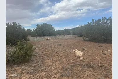 Lot 164 Mesa Redondo -- #164, Concho, AZ 85924 - Photo 7