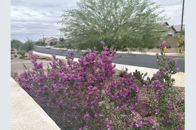 2525 N Riverside Drive, Florence, AZ 85132 - Photo 3