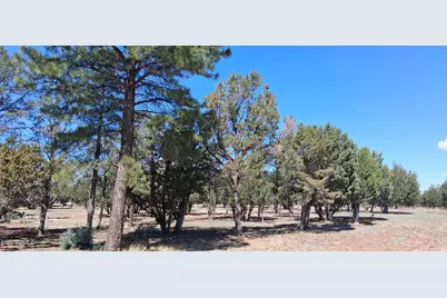 2790 Chandelle Lane #278, Overgaard, AZ 85933 - Photo 3