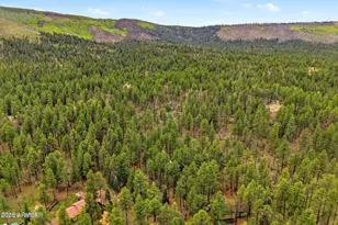 2 County Road 2050 --, Alpine, AZ 85920 - Photo 25