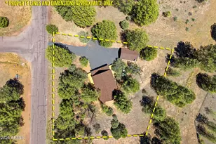 2905 Lodgepole Rd, Overgaard, AZ 85933 - Photo 41