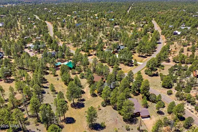 2905 Lodgepole Road, Overgaard, AZ 85933 - Photo 37