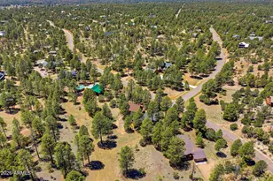 2905 Lodgepole Rd, Overgaard, AZ 85933 - Photo 37