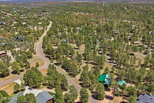 2905 Lodgepole Rd, Overgaard, AZ 85933 - Photo 39