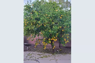 16058 W Adams Street, Goodyear, AZ 85338 - Photo 45