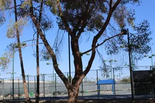 1924 W Lawrence Rd, Phoenix, AZ 85015 - Photo 23
