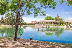 582 W Zion Pl, Chandler, AZ 85248 - Photo 55