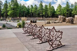 3725 W Styx Ln, Flagstaff, AZ 86001 - Photo 21