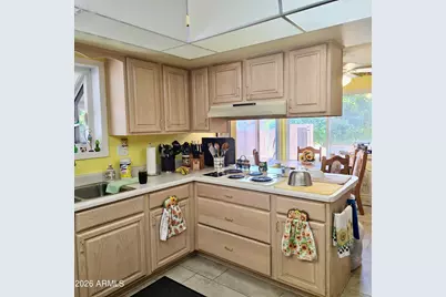 10401 W Desert Rock Drive, Sun City, AZ 85351 - Photo 33