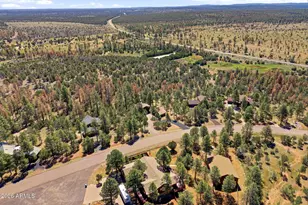2763 Chandelle Ln, Overgaard, AZ 85933 - Photo 31