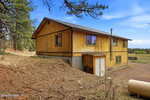 28 County Rd 2310, Alpine, AZ 85920 - Photo 43