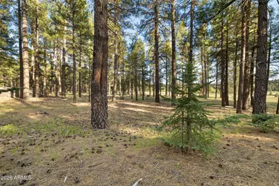 259 E Foxboro Road #7, Munds Park, AZ 86017 - Photo 27