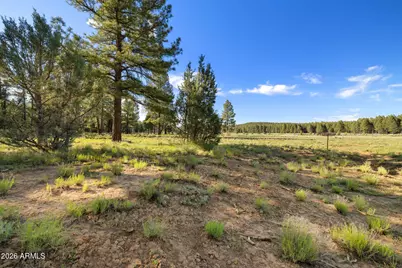 454 W Clay Park Way #24, Munds Park, AZ 86017 - Photo 19