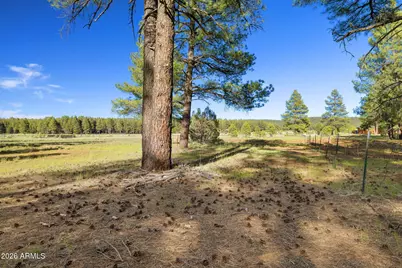 454 W Clay Park Way #24, Munds Park, AZ 86017 - Photo 15