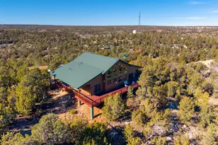 3651 Zane Grey Trl, Overgaard, AZ 85933 - Photo 3