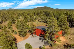 9365/9361 Mountain Meadow Ln, Lakeside, AZ 85929 - Photo 9
