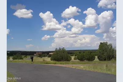 8398 N Lake View Drive #31, Show Low, AZ 85901 - Photo 3