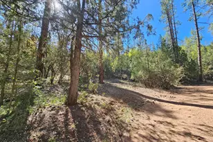 3054 N Neal Dr, Payson, AZ 85541 - Photo 1