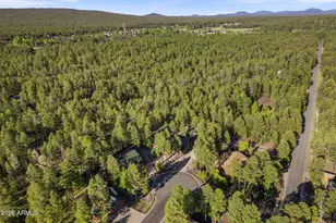 710 E Osprey Ln, Pinetop, AZ 85935 - Photo 37