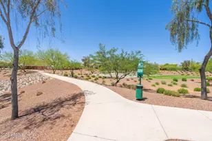 17164 W Hedgehog Pl, Surprise, AZ 85387 - Photo 51