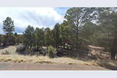 2223 Fairway Drive #16, Overgaard, AZ 85933 - Photo 3