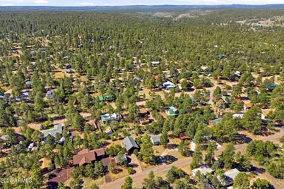 1924 1924 Little Doe Trail, Overgaard, AZ 85933 - Photo 31