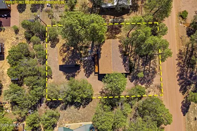 1924 1924 Little Doe Trail, Overgaard, AZ 85933 - Photo 29