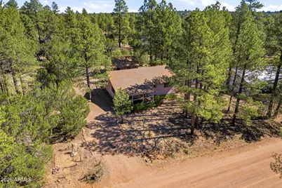 1924 1924 Little Doe Trail, Overgaard, AZ 85933 - Photo 5