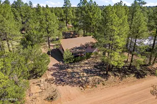 1924 1924 Little Doe Trail, Overgaard, AZ 85933 - Photo 5