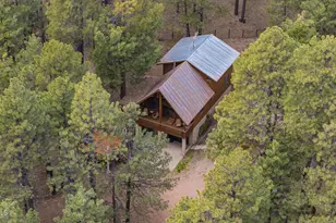 2233 Mulberry Dr, Forest Lakes, AZ 85931 - Photo 33