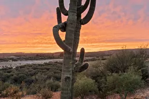 37455 S Rincon Rd, Wickenburg, AZ 85390 - Photo 53