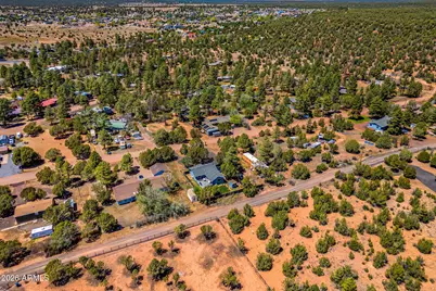1087 Rim View Drive, Show Low, AZ 85901 - Photo 29