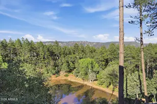 4359 N Strawberry Hollow, Pine, AZ 85544 - Photo 41