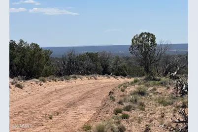 Lot 70 Red Sky Ranch -- #070, Saint Johns, AZ 85936 - Photo 13