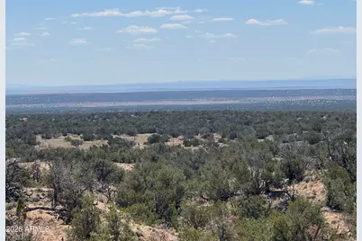Lot 70 Red Sky Ranch -- #070, Saint Johns, AZ 85936 - Photo 11